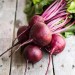 Beetroot - Image 2